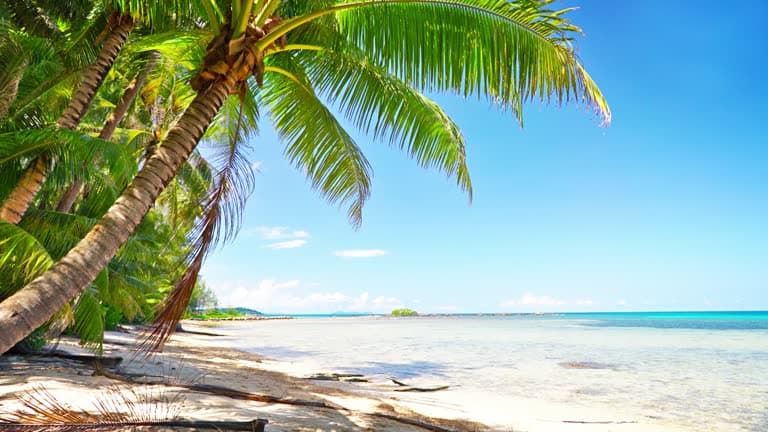 Tropical beach destination